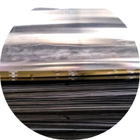 NoPath-Copia-3-1